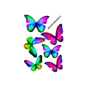 Jedlá dekorace na dort MOTÝL duhový, VARIANTA Jedlý papír 1551