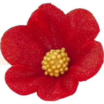 Výroba svíčky Malý cukrový květ mercedesu 4 cm, červený, sada 5 ks. | MAGMART, K 010