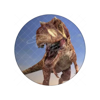 Jedlá dekorace na dort REX, VARIANTA Jedlý papír 241