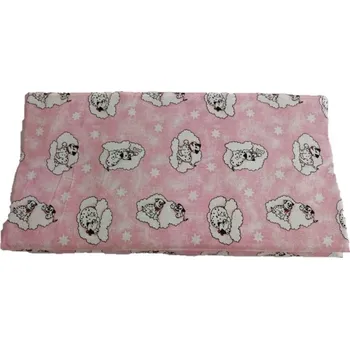 Plážová podložka LKV Lomnice Dětské plážové skládací lehátko 118 x 55 x 1,2 cm