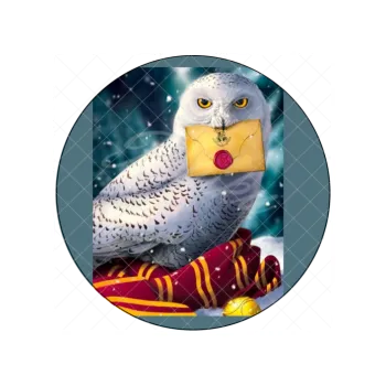 Jedlá dekorace na dort HARRY POTTER - Hedvika, VARIANTA Jedlý papír 20