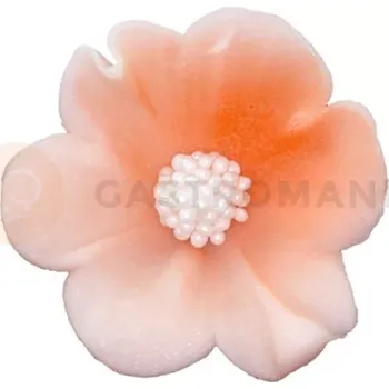 Výroba svíčky Malý cukrový květ mercedesu 4 cm, lososový, sada 5 ks. | MAGMART, K 010