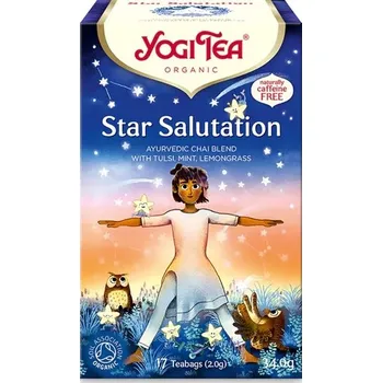 Koření Yogitea Star Salutation