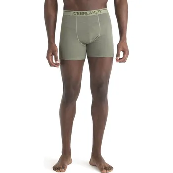 Pánské spodní prádlo Pánské merino boxerky ICEBREAKER Mens Anatomica Boxers, Lichen/Loden velikost: S