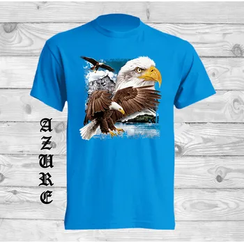 detske-levne-bavlnene-tricko-potisk-orli Barva: Azure - azurově modrá, velikost: 152