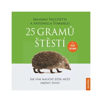 25 gramů štěstí MP3 download