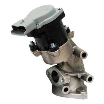 Nářadí pro automobil AGR-Ventil MAGNETI MARELLI EV032