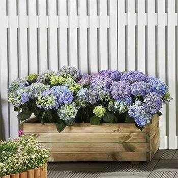 Vyvýšený záhon Vyvýšený záhon / truhlík LANITPLAST POTTING8 (S7231) LG2402