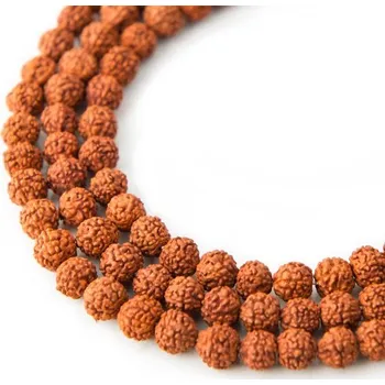 Korálek Korálek ze semínka Rudraksha dobarvovaný 6 mm
