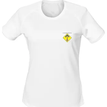 Dámské tričko Dámské funkční tričko 251. protiletadlový raketový oddíl - simple - bílá