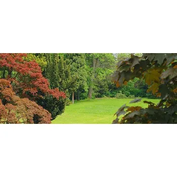 Fototapeta Vliesové fototapety zahrada IMPOL TRADE 4-004VEP