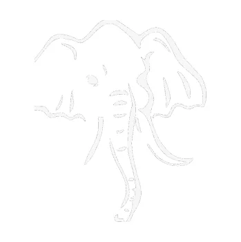 Samolepící dekorace Slon 024 pravá (09 - bílá) SAMOLEPKA NA AUTO, NÁLEPKA, FÓLIE, POLEP, TUNING, VLASTNÍ TEXT, TISK, AUTOSAMOLEPKY.cz, POLEPY, OBRÁZEK, LOGO, 3D STICKERS