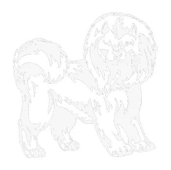 samolepka Pes 029 pravá (09 - bílá) SAMOLEPKA NA AUTO, NÁLEPKA, FÓLIE, POLEP, TUNING, VLASTNÍ TEXT, TISK, AUTOSAMOLEPKY.cz, POLEPY, OBRÁZEK, LOGO, 3D STICKERS