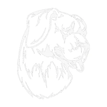 Polep vozidla SAMOLEPKA Pes 021 pravá (09 - bílá) NA AUTO, NÁLEPKA, FÓLIE, POLEP, TUNING, VLASTNÍ TEXT, TISK, AUTOSAMOLEPKY.cz, POLEPY, OBRÁZEK, LOGO, SAMOLEPKY