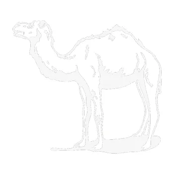 Samolepící dekorace Velbloud 001 levá (09 - bílá) SAMOLEPKA NA AUTO, NÁLEPKA, FÓLIE, POLEP, TUNING, VLASTNÍ TEXT, TISK, AUTOSAMOLEPKY.cz, POLEPY, OBRÁZEK, LOGO, 3D STICKERS