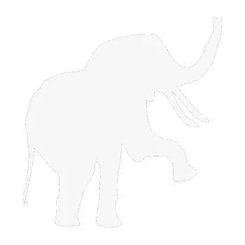 Samolepící dekorace Slon 005 pravá (09 - bílá) SAMOLEPKA NA AUTO, NÁLEPKA, FÓLIE, POLEP, TUNING, VLASTNÍ TEXT, TISK, AUTOSAMOLEPKY.cz, POLEPY, OBRÁZEK, LOGO, 3D STICKERS