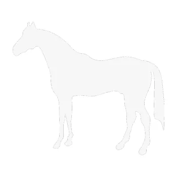 Samolepící dekorace SAMOLEPKA Kůň 004 levá (09 - bílá) NA AUTO, NÁLEPKA, FÓLIE, POLEP, TUNING, VLASTNÍ TEXT, TISK, AUTOSAMOLEPKY.cz, POLEPY, OBRÁZEK, LOGO, SAMOLEPKY