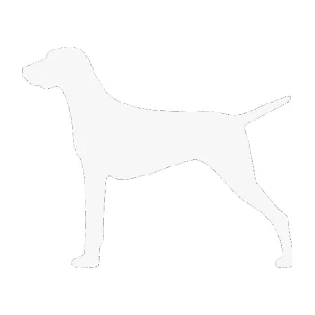 Polep vozidla SAMOLEPKA Pes 052 levá Ohař (09 - bílá) NA AUTO, NÁLEPKA, FÓLIE, POLEP, TUNING, VLASTNÍ TEXT, TISK, AUTOSAMOLEPKY.cz, POLEPY, OBRÁZEK, LOGO, SAMOLEPKY