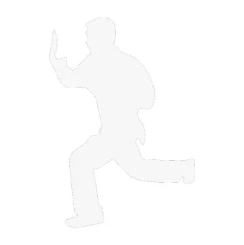 Polep vozidla Karate 002 levá (09 - bílá) SAMOLEPKA NA AUTO, NÁLEPKA, FÓLIE, POLEP, TUNING, VLASTNÍ TEXT, TISK, AUTOSAMOLEPKY.cz, POLEPY, OBRÁZEK, LOGO, 3D STICKERS