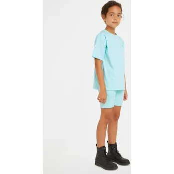 Oblečení a móda Calvin Klein Jeans T-Shirt Mono Mini Badge IU0IU00580 D Modrá Regular Fit 16Y