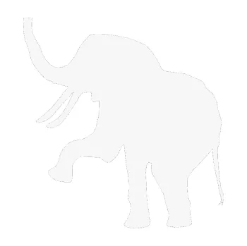 Samolepící dekorace Slon 005 levá (09 - bílá) SAMOLEPKA NA AUTO, NÁLEPKA, FÓLIE, POLEP, TUNING, VLASTNÍ TEXT, TISK, AUTOSAMOLEPKY.cz, POLEPY, OBRÁZEK, LOGO, 3D STICKERS