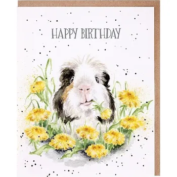 Wrendale Designs Narozeninové přání Wrendale Designs "Dandy Day" - Morče