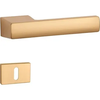 Dveřní kování AS - BRISA - RT 7S rozety WC, klika/klika OLS - Mosaz broušená