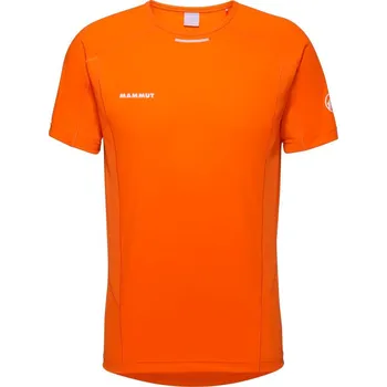 Pánské tričko Aenergy FL T-Shirt Men | Arumita M