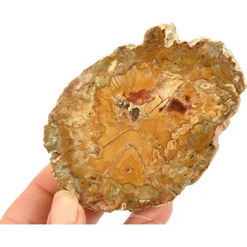 Přírodní kámen Zkamenělé dřevo plátek z Madagaskaru 180g