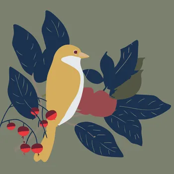 Malování podle čísel - Boho ptáček Velikost: 30x30cm, Rámování: Pouze srolované plátno