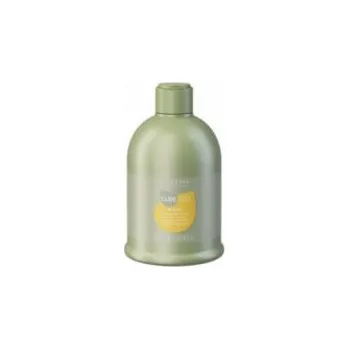 Šampon Alter Ego Ego Line Silk Oil Shampoo - Šampon s hedvábným efektem 300 ml