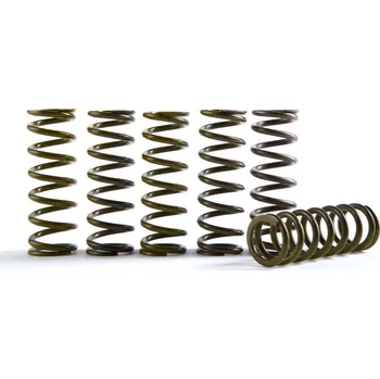 Spojková sada Hi-Temp Clutch Spring Kit HINSON CS216-6-0315 (sada 6)