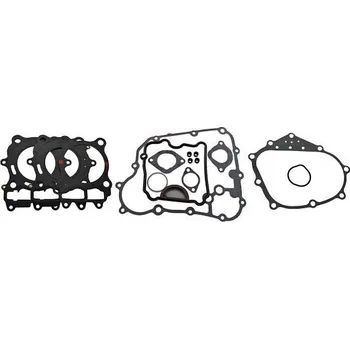 Automobilové těsnění Těsnění motoru - sada RMS 100684290