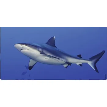 Obklad Koupelnová zádní stěna mySPOTTI aqua Hai 90x45 cm