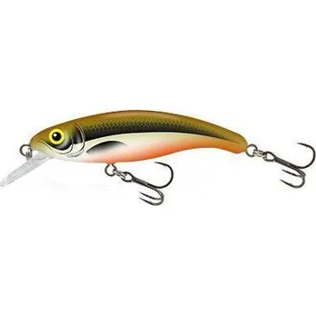 Nástraha Wobler Salmo Slick Stick 6,0cm F plovoucí HTO
