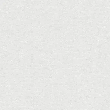 A.S. Création | Vliesová tapeta na zeď Natural Living 38662-6 | 0,53 x 10,05 m | bílá + Bílá vliesová tapeta na stěnu 386626 v rozměru 0,53 x 10,05 m