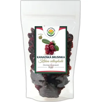 Sušené ovoce Salvia Paradise Kanadská brusinka plod