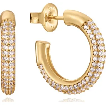 Náušnice Viceroy Jewels 13132E100-30