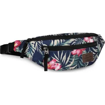 Ledvinka Zagatto ZG671