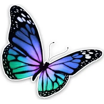 samolepka Samolepka (na auto, notebook) motýl (9)