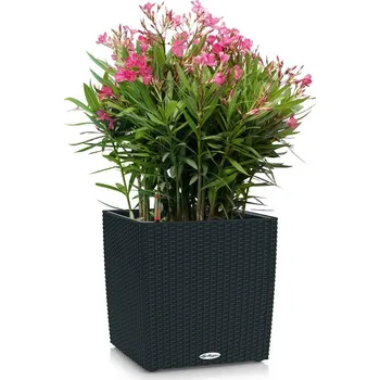 Květináč LECHUZA Cube Cottage Velikost: 30x30x30 cm, Barva: Granitově černá