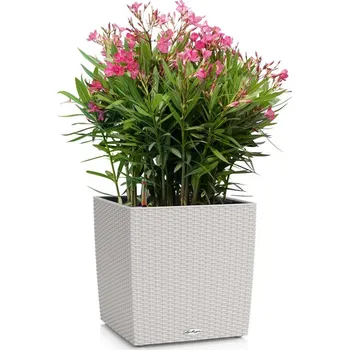 Zahrada LECHUZA Cube Cottage Velikost: 40x40x40 cm, Barva: Šedá světlá