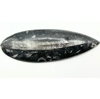 Přírodní kámen Magieprirody.cz Fosilie Orthoceras 145 mm (Maroko) #K719