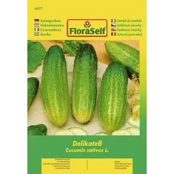 Semeno Okurka salátová delikatesní FloraSelf