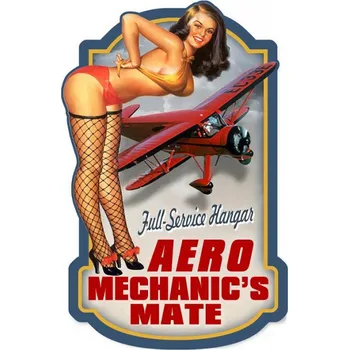 Plechová cedule Nástěnná kovová cedule Aero – 39x1x60 cm