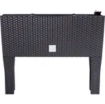 truhlík RATO CASE HIGH 60x25x46cm ANTR (S433)