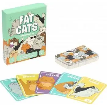 Desková hra Abrams & Chronicle | Fat Cats