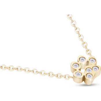 Řetízek biju Řetízek z chirurgické oceli s přívěskem, pozlacený 14k, jemná tlapka ozdobená zirkony 3001858