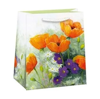 Dárková taška ARGUS Dárková papírová taška T4 (19 x 23 cm) 07470747