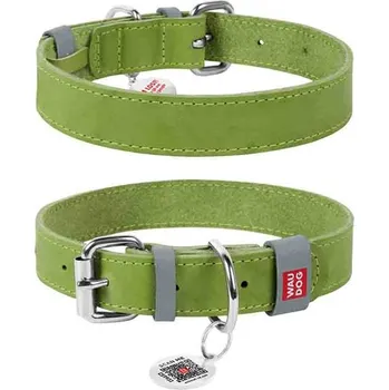 Obojek pro psa Obojek kůže 35mmx46-60cm WAUDOG zelený